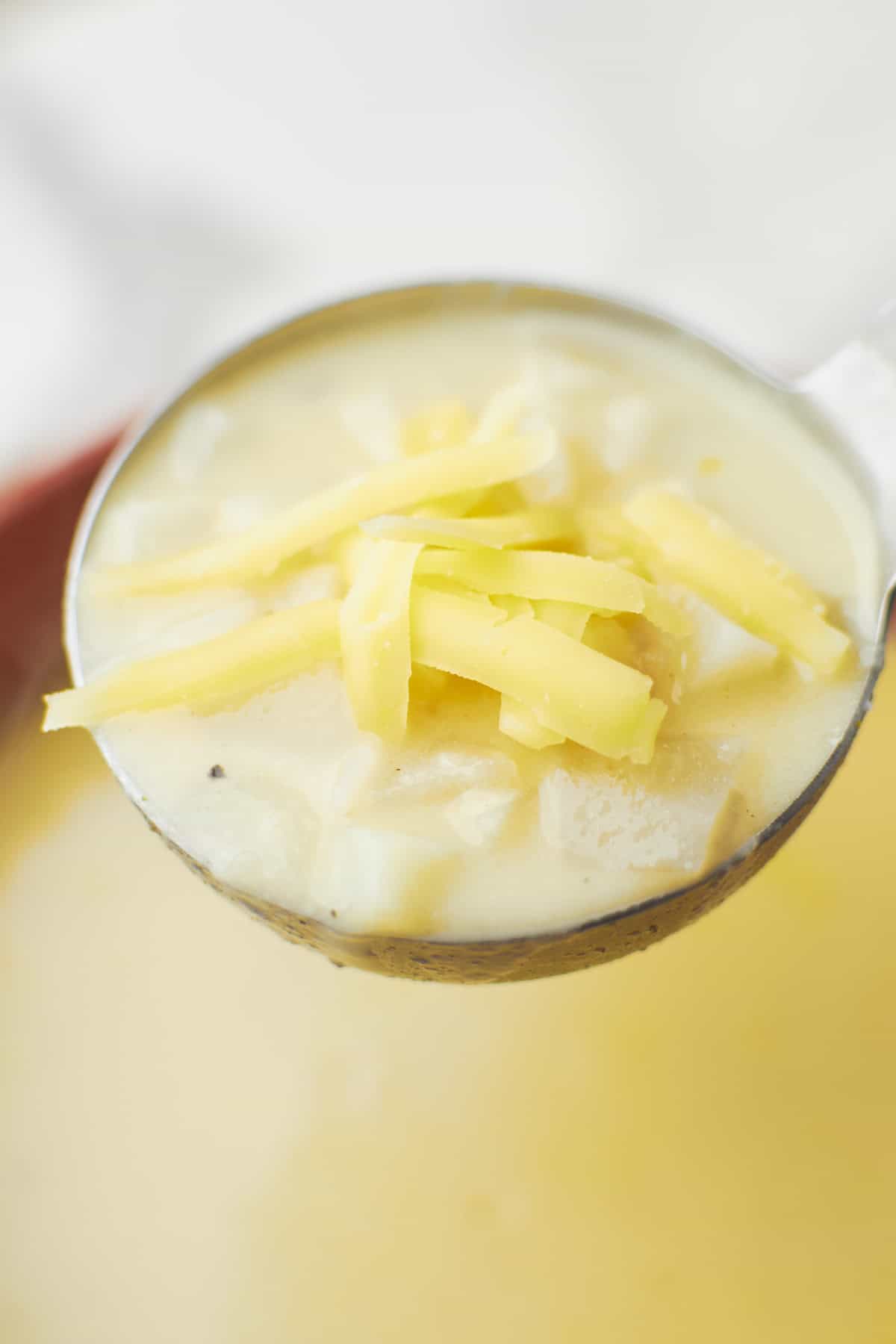 a bowl of chunky potato soup inside a bowl with toppings.