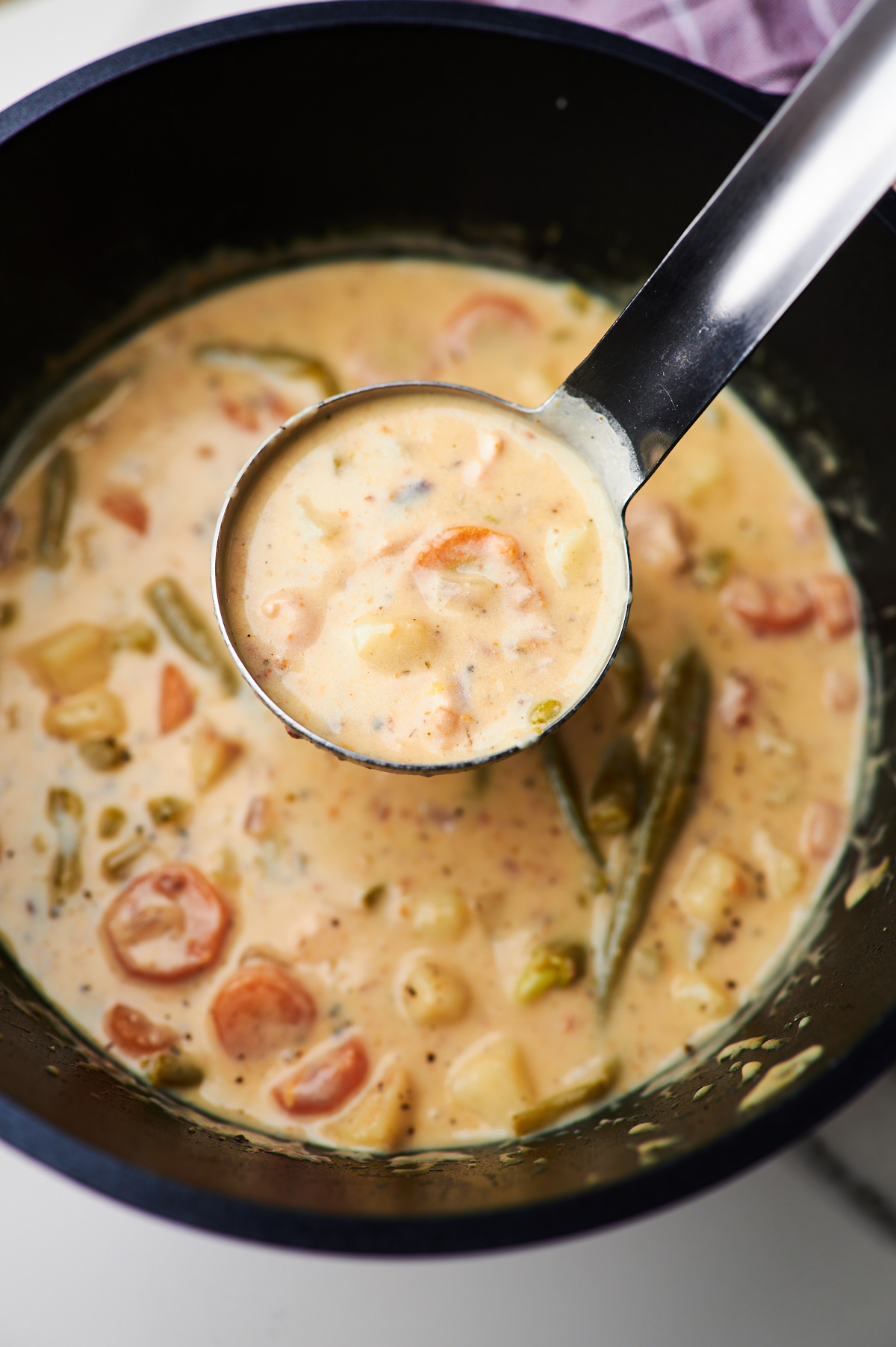 A soup ladle filled with creamy chicken stew from a soup pot.